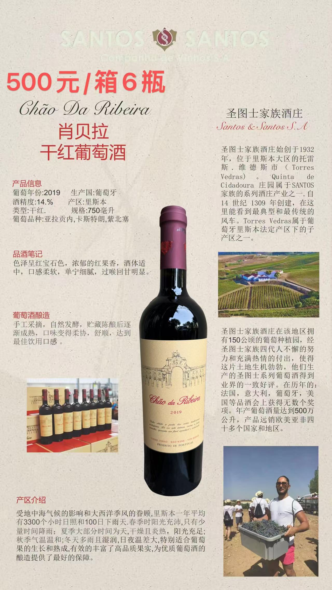 肖贝拉广告图